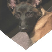 Malinois Dog Kurzer Tischläufer (Ecke)