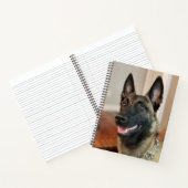 Malinois Dog Notizblock (Innenseite)