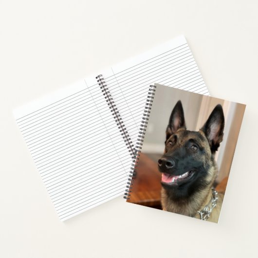 Malinois Dog Notizblock (Innenseite)
