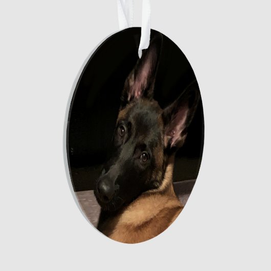 Malinois Dog Ornament (Vorderseite)