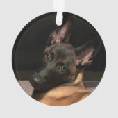 Malinois Dog Ornament (Rückseite)