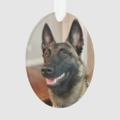 Malinois Dog Ornament (Rückseite)