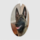 Malinois Dog Ornament (Vorderseite)