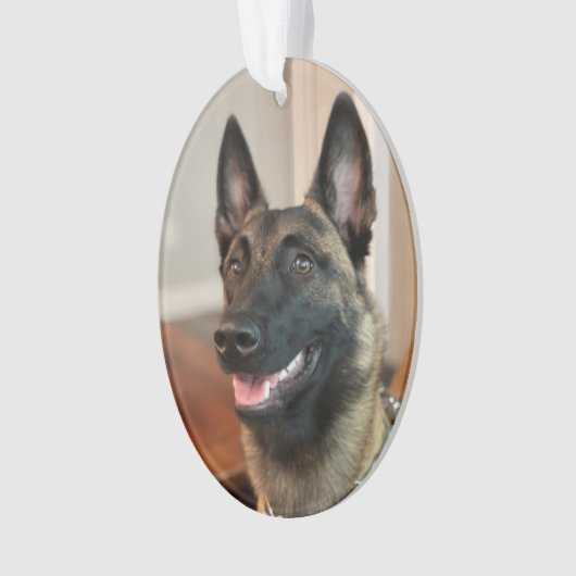Malinois Dog Ornament (Vorderseite)