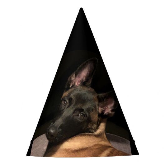 Malinois Dog Partyhütchen (Vorderseite)