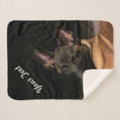 Malinois Dog Sherpadecke (Vorderseite (Horizontal))