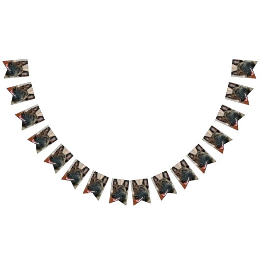 Malinois Dog Wimpelkette (Alle)