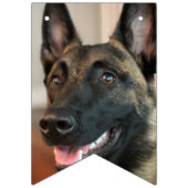 Malinois Dog Wimpelkette (Zweite Fahne)