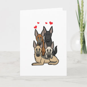 Malinois Dogs Karte