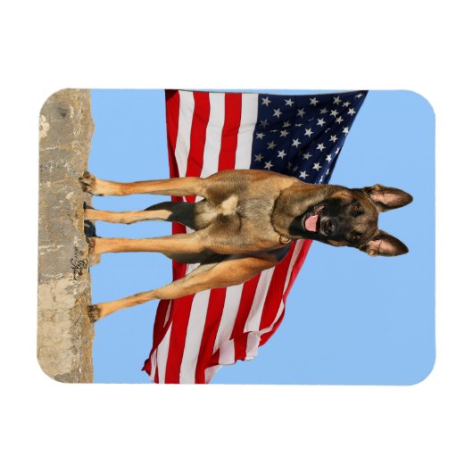 Malinois flexibler Magnet für Fahnen (Horizontal)