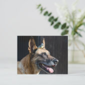 Malinois ( Hund ) mit Blaumeise Postkarte (Stehend Vorderseite)