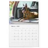 Malinois-Kalender 2026 Kalender (Feb 2026)