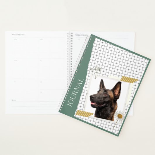 Malinois  planer (Anzeige)