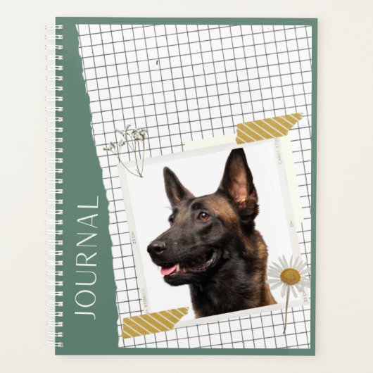 Malinois planer (Vorderseite)