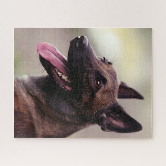 Malinois Puzzle (Horizontal)