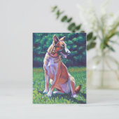 Malinois Shepherd auf Grassy Field Postkarte (Stehend Vorderseite)