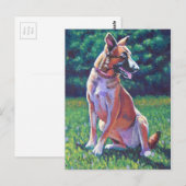 Malinois Shepherd auf Grassy Field Postkarte (Vorne/Hinten)