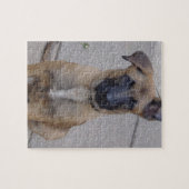 malinois Welpe sitting.png Puzzle (Horizontal)