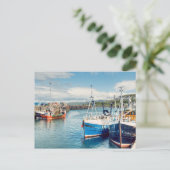 Mallaig Harbour Postkarte (Stehend Vorderseite)