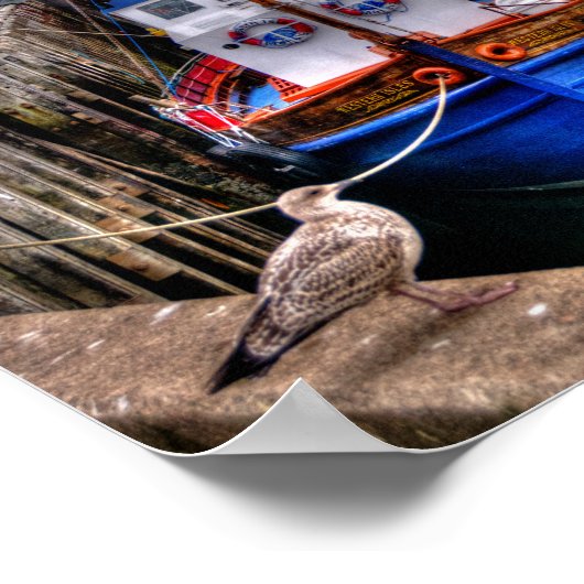 Mallaig, Schottland Poster (Ecke)