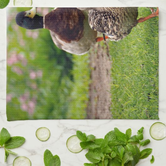 Mallard 116 geschirrtuch (Gefaltet)