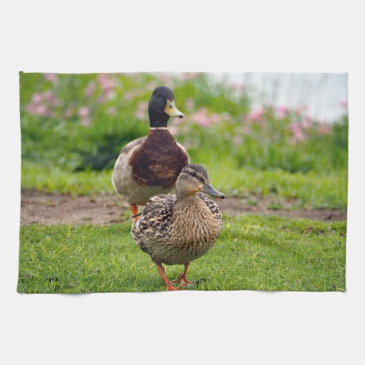 Mallard 116 geschirrtuch (Horizontal)