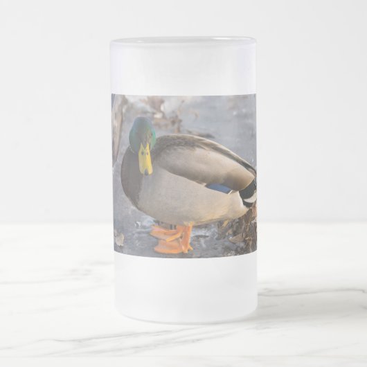 Mallard auf Eis Mattglas Bierglas (Mittel)