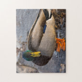 Mallard auf Eis Puzzle (Vertikal)