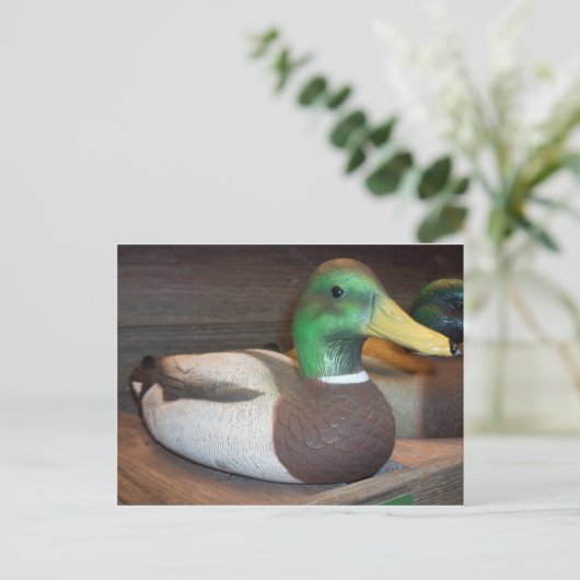 Mallard Decoy Postkarte (Stehend Vorderseite)