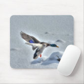 Mallard Drake Birdlover Wildlife Foto Mousepad (Mit Mouse)