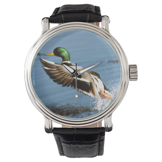 Mallard Drake Duck Armbanduhr (Vorderseite)