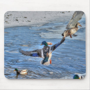 Mallard Drake & Duck Birdlover Wildlife Foto Mousepad