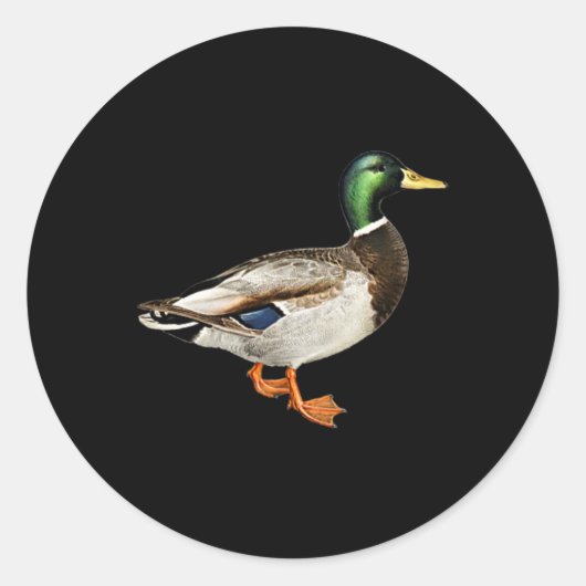 Mallard Drake Duck Pocket Logo Mallard Ducks Hunti Runder Aufkleber (Vorderseite)