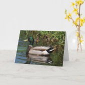 Mallard Drake Ducklings Fotograf Vatertag Karte (Gelbe Blume)