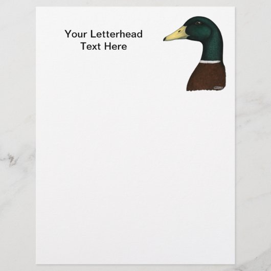 Mallard Drake Head (Vorderseite)