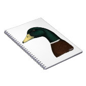 Mallard Drake Head Notizblock (Rechte Seite)