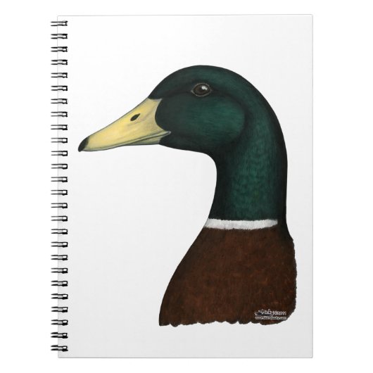 Mallard Drake Head Notizblock (Vorderseite)