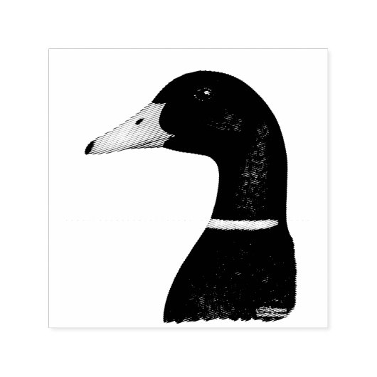 Mallard Drake Head Permastempel (Design)