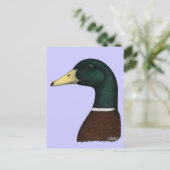 Mallard Drake Head Postkarte (Stehend Vorderseite)