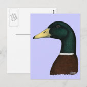 Mallard Drake Head Postkarte (Vorne/Hinten)