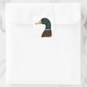 Mallard Drake Head Quadratischer Aufkleber (Tasche)