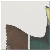 Mallard Drake Head Stoff (Nahaufnahme)