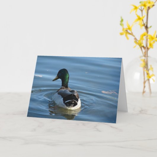 Mallard Drake Karte (Gelbe Blume)