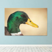 Mallard Drake Leinwanddruck (Insitu (Holzboden))