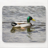 Mallard Drake Mousepad (Vorne)