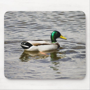 Mallard Drake Mousepad