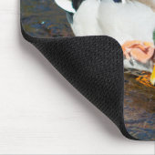 Mallard Drake Mousepad (Ecke)