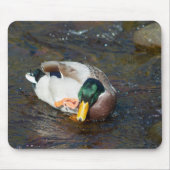 Mallard Drake Mousepad (Vorne)