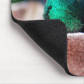 Mallard Drake Mousepad (Ecke)