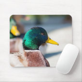 Mallard Drake Mousepad (Mit Mouse)